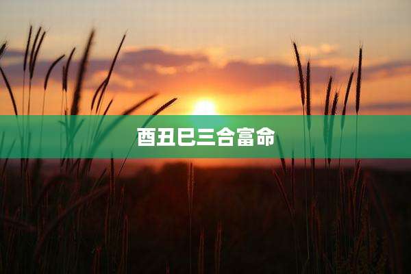 酉丑巳三合富命