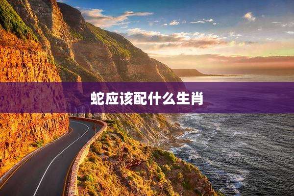 蛇应该配什么生肖