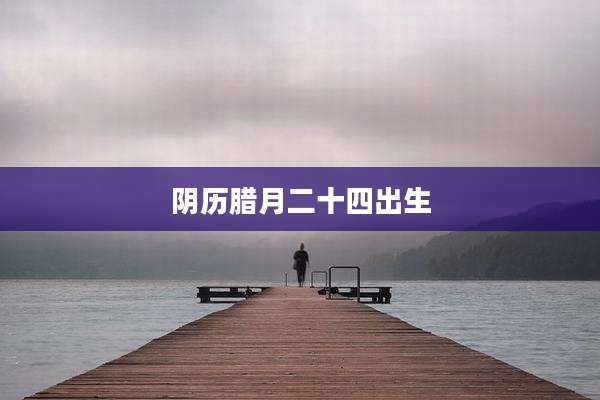 阴历腊月二十四出生