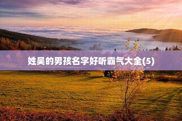姓吴的男孩名字好听霸气大全(5)