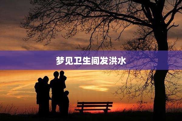 梦见卫生间发洪水