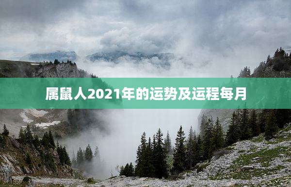 属鼠人2021年的运势及运程每月