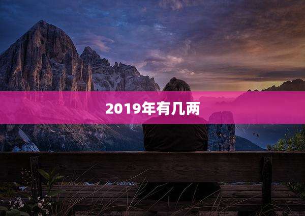 2019年有几两