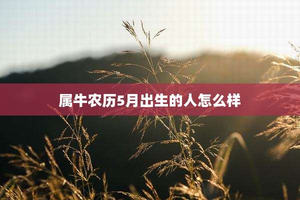 属牛农历5月出生的人怎么样