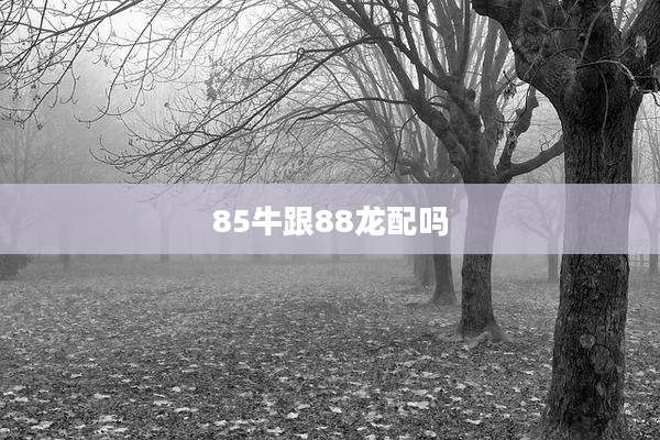 85牛跟88龙配吗