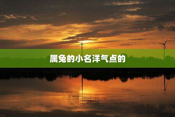 属兔的小名洋气点的