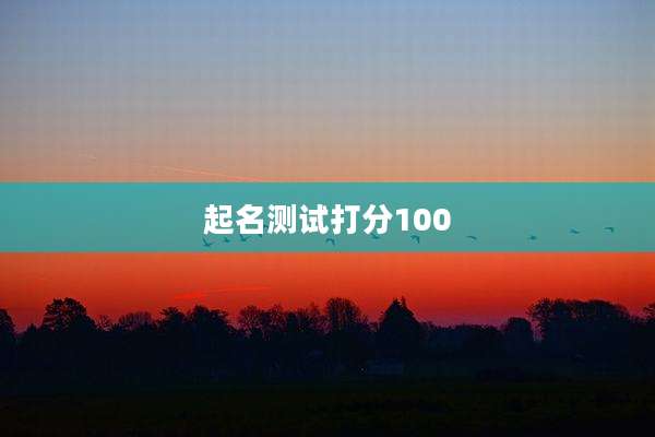 起名测试打分100
