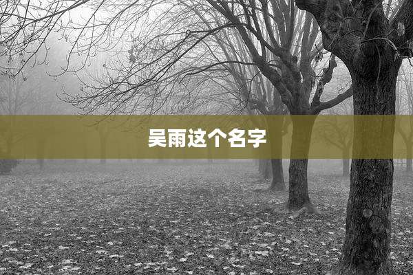 吴雨这个名字
