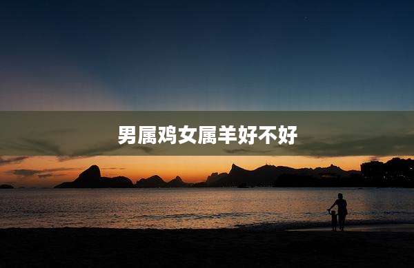男属鸡女属羊好不好