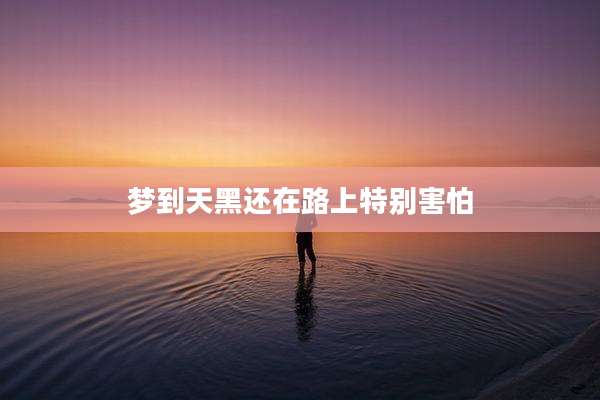 梦到天黑还在路上特别害怕
