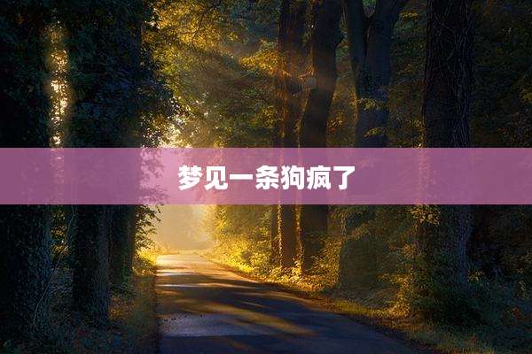 梦见一条狗疯了