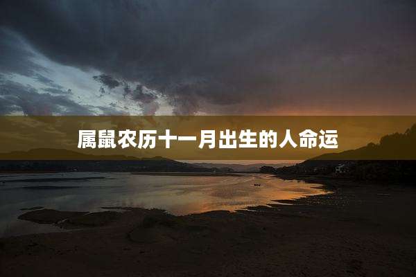 属鼠农历十一月出生的人命运