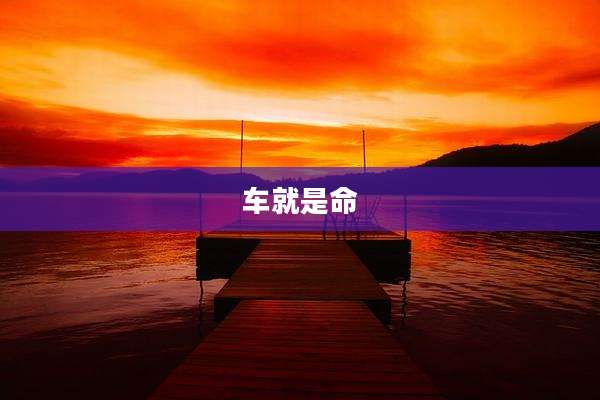 车就是命