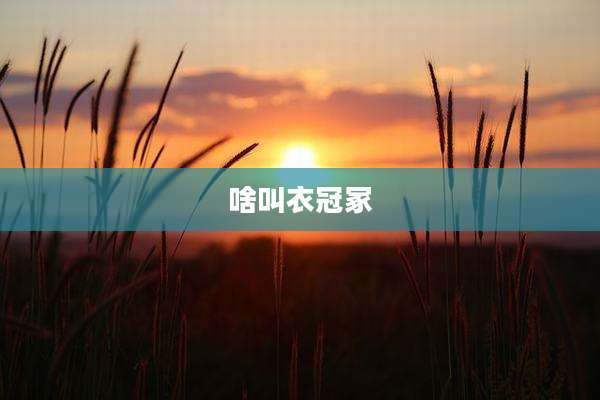 啥叫衣冠冢