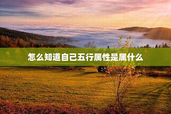 怎么知道自己五行属性是属什么
