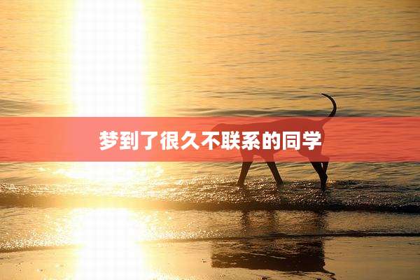梦到了很久不联系的同学