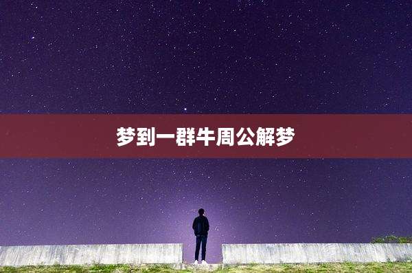 梦到一群牛周公解梦