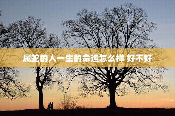 属蛇的人一生的命运怎么样 好不好