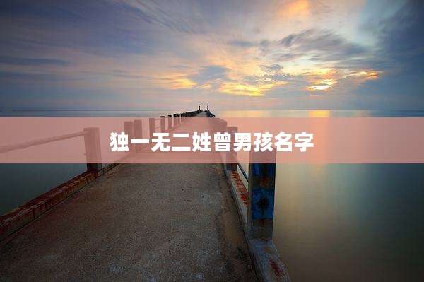 独一无二姓曾男孩名字