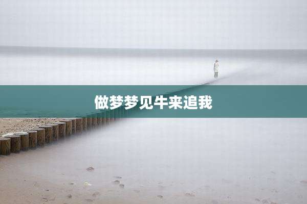 做梦梦见牛来追我