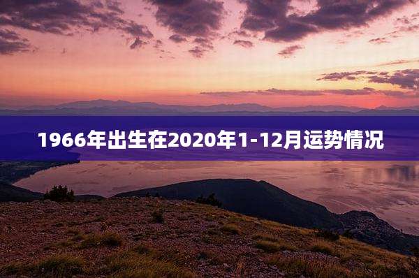 1966年出生在2020年1-12月运势情况