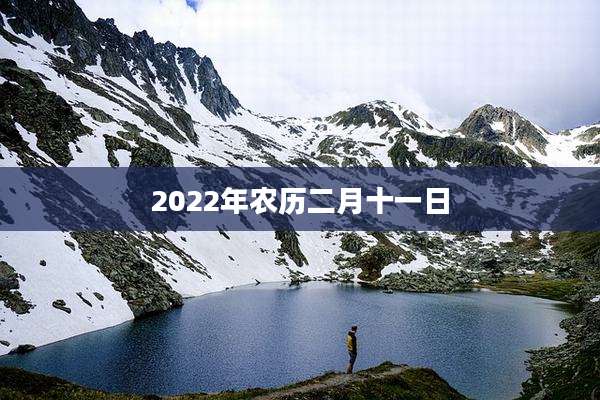 2022年农历二月十一日