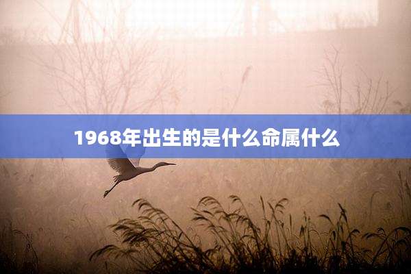 1968年出生的是什么命属什么