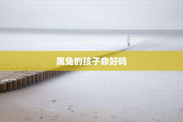 属兔的孩子命好吗