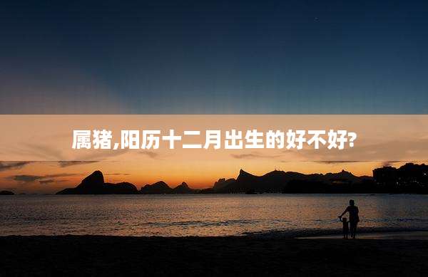 属猪,阳历十二月出生的好不好?