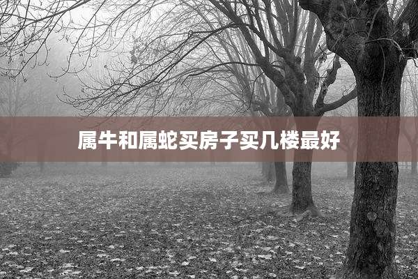 属牛和属蛇买房子买几楼最好
