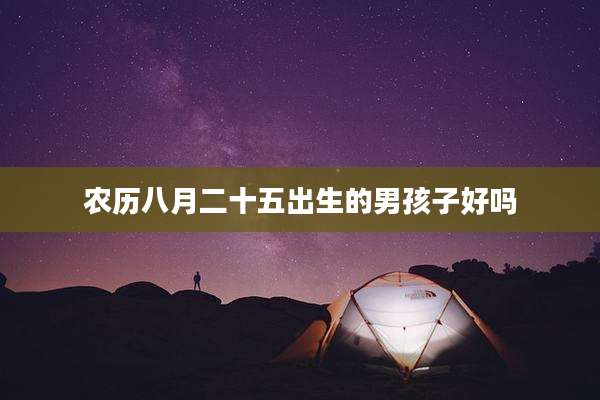 农历八月二十五出生的男孩子好吗