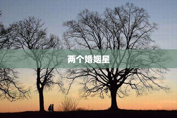 两个婚姻星