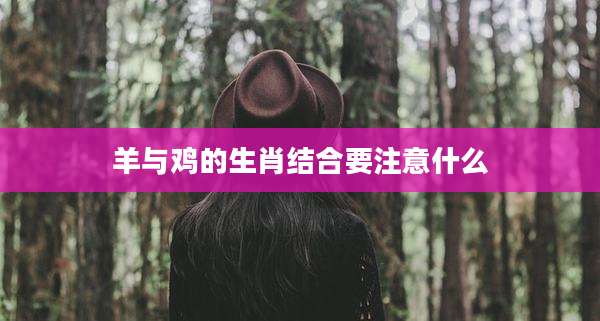 羊与鸡的生肖结合要注意什么