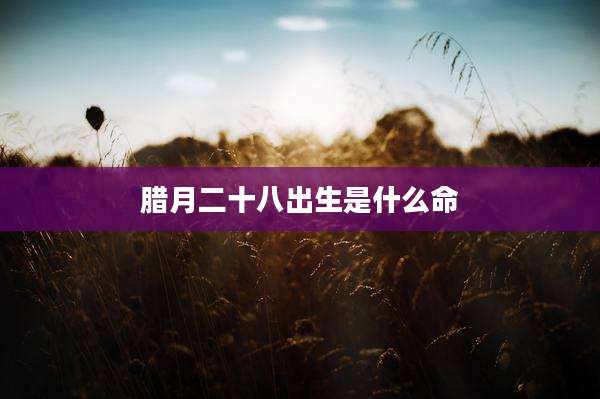 腊月二十八出生是什么命
