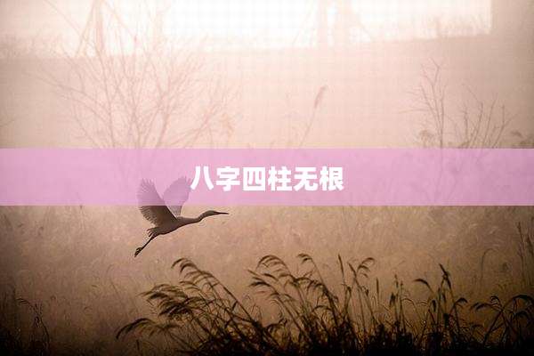 八字四柱无根