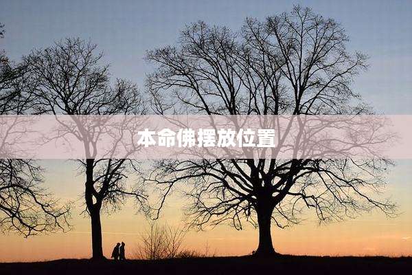 本命佛摆放位置