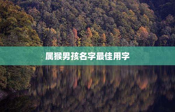 属猴男孩名字最佳用字