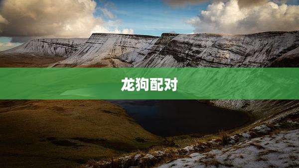 龙狗配对