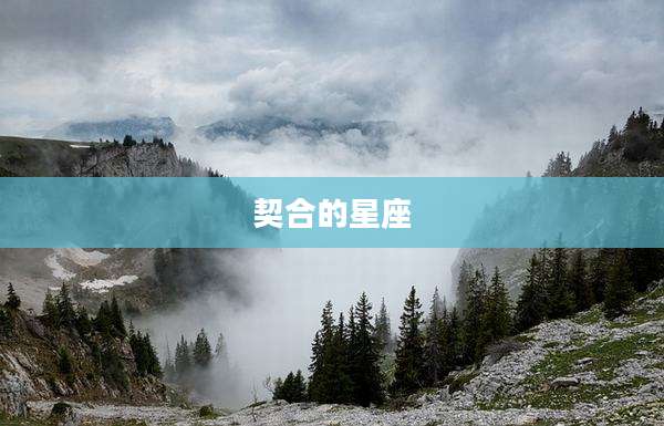 契合的星座