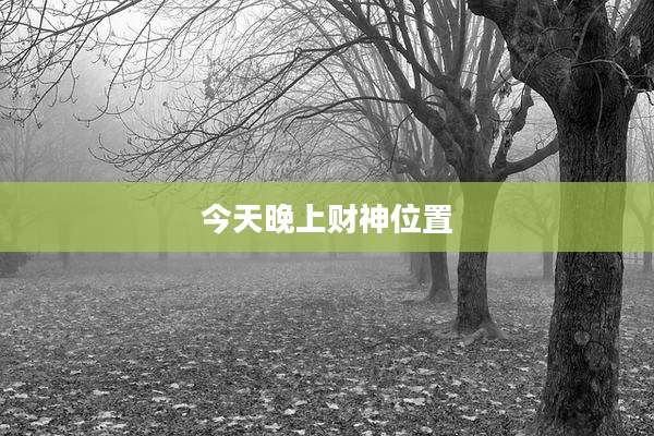 今天晚上财神位置