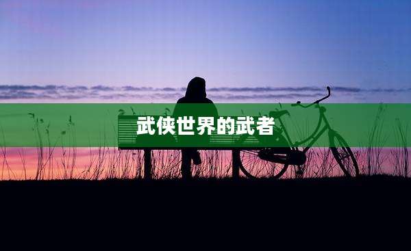 武侠世界的武者