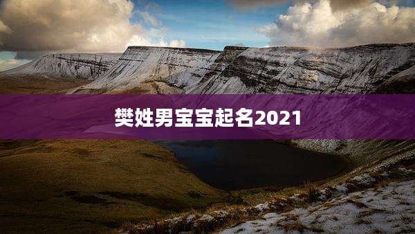 樊姓男宝宝起名2021
