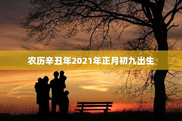 农历辛丑年2021年正月初九出生