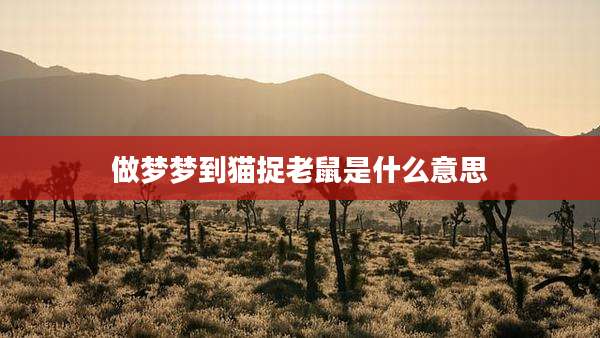 做梦梦到猫捉老鼠是什么意思