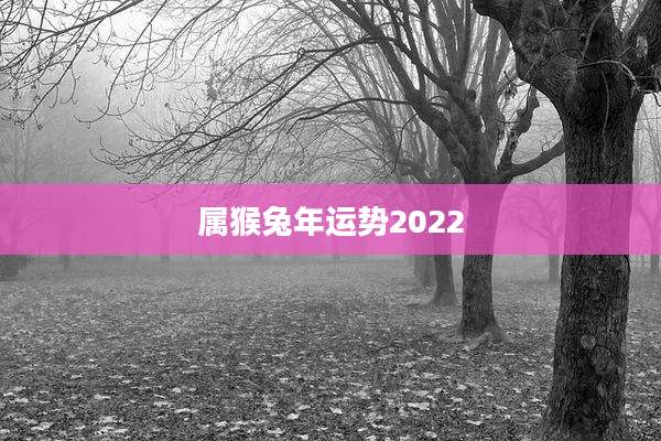 属猴兔年运势2022