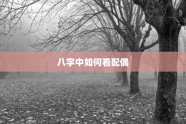 八字中如何看配偶