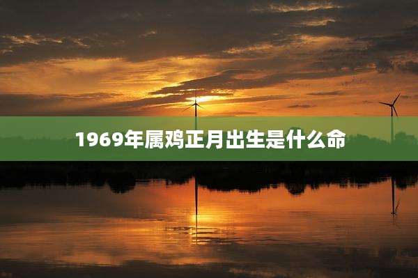 1969年属鸡正月出生是什么命