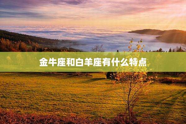 金牛座和白羊座有什么特点