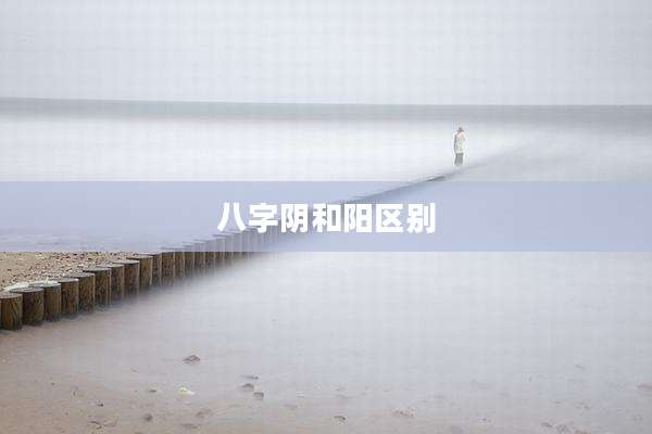 八字阴和阳区别