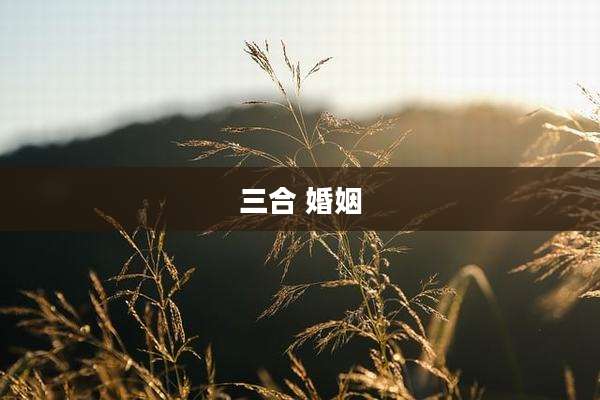 三合 婚姻